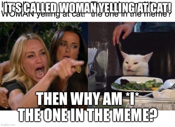 IT'S CALLED WOMAN YELLING AT CAT! THEN WHY AM *I* THE ONE IN THE MEME? | image tagged in cats | made w/ Imgflip meme maker