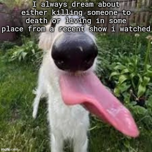 dog | I always dream about either killing someone to death or living in some place from a recent show i watched | image tagged in dog | made w/ Imgflip meme maker