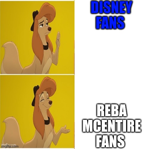Who Does Not Like Disney Fans | DISNEY FANS; REBA MCENTIRE FANS | image tagged in dixie aka reba mcentire terry's meme,meme,the fox and the hound 2,reba mcentire,disney | made w/ Imgflip meme maker