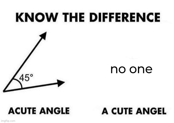 Acute Angle, A Cute Angel | no one | image tagged in acute angle a cute angel | made w/ Imgflip meme maker