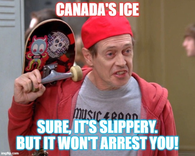 Canada's ICE | CANADA'S ICE; SURE, IT'S SLIPPERY. BUT IT WON'T ARREST YOU! | image tagged in steve buscemi fellow kids | made w/ Imgflip meme maker