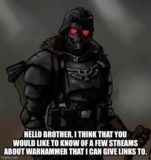 Krieg grenadier | HELLO BROTHER, I THINK THAT YOU WOULD LIKE TO KNOW OF A FEW STREAMS ABOUT WARHAMMER THAT I CAN GIVE LINKS TO. | image tagged in krieg grenadier | made w/ Imgflip meme maker
