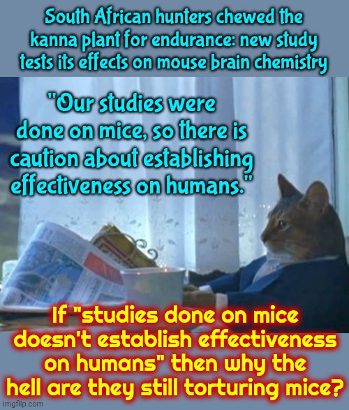 Why Do It Then? | South African hunters chewed the kanna plant for endurance: new study tests its effects on mouse brain chemistry; "Our studies were done on mice, so there is caution about establishing effectiveness on humans."; If "studies done on mice doesn't establish effectiveness on humans" then why the hell are they still torturing mice? | image tagged in memes,i should buy a boat cat,but why why would you do that,animal rights,just stop,torture | made w/ Imgflip meme maker