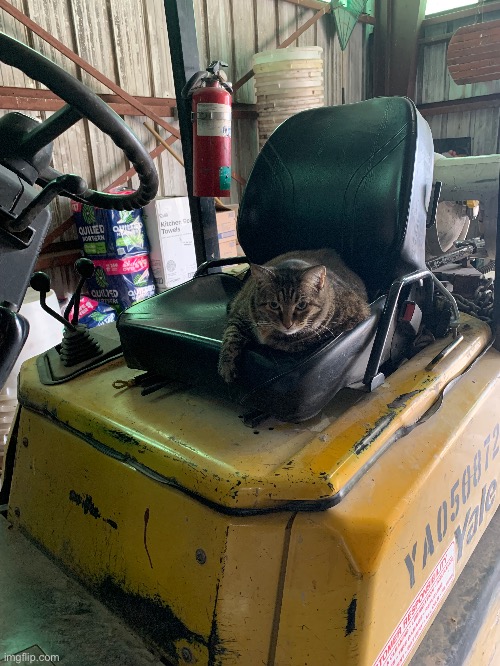 He is NOT DRIVING | made w/ Imgflip meme maker