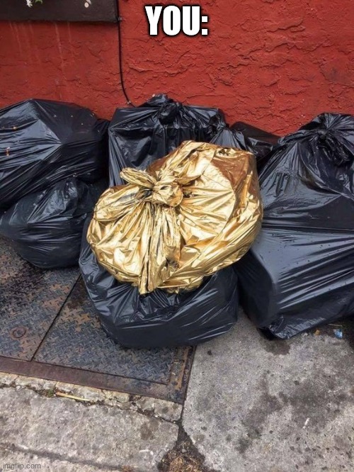 Golden Trash Bag | YOU: | image tagged in golden trash bag | made w/ Imgflip meme maker