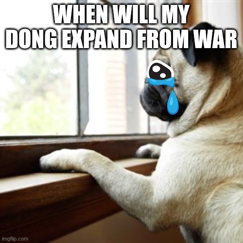 When will my husband return from war | WHEN WILL MY DONG EXPAND FROM WAR | image tagged in when will my husband return from war | made w/ Imgflip meme maker