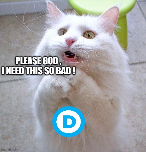 Begging Cat | PLEASE GOD , I NEED THIS SO BAD ! | image tagged in begging cat | made w/ Imgflip meme maker