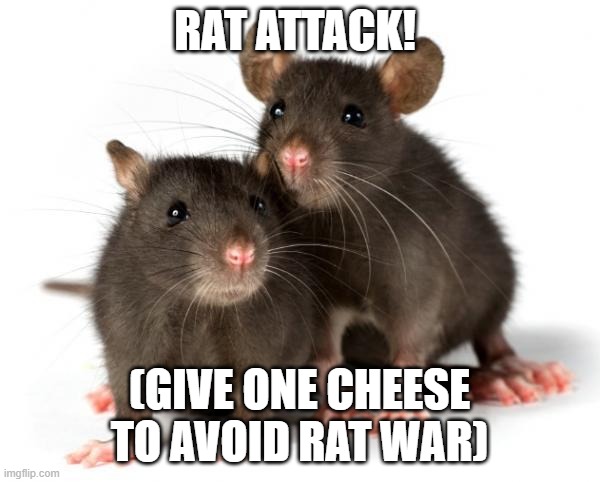 RAT ATTACK! (GIVE ONE CHEESE TO AVOID RAT WAR) | image tagged in rats | made w/ Imgflip meme maker