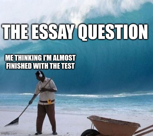 Beach Man Wave Tsunami Ignoring | THE ESSAY QUESTION; ME THINKING I'M ALMOST FINISHED WITH THE TEST | image tagged in beach man wave tsunami ignoring | made w/ Imgflip meme maker