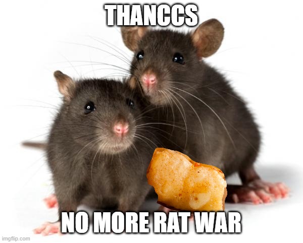 THANCCS NO MORE RAT WAR | image tagged in rats | made w/ Imgflip meme maker