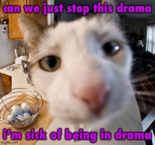 y’all, leave each other alone | can we just stop this drama; i’m sick of being in drama | image tagged in he | made w/ Imgflip meme maker