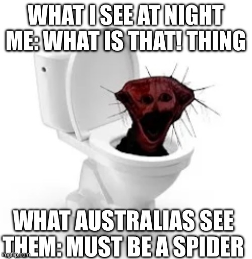 skibidi boiled one | WHAT I SEE AT NIGHT ME: WHAT IS THAT! THING; WHAT AUSTRALIAS SEE THEM: MUST BE A SPIDER | image tagged in skibidi boiled one,scary,kinda,meanwhile in australia | made w/ Imgflip meme maker