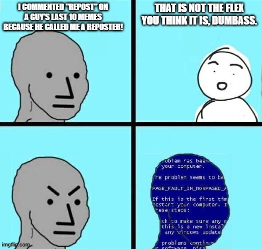 NPC Blue Screen but the text is placed properly | I COMMENTED "REPOST" ON A GUY'S LAST 10 MEMES BECAUSE HE CALLED ME A REPOSTER! THAT IS NOT THE FLEX YOU THINK IT IS, DUMBASS. | image tagged in npc blue screen but the text is placed properly | made w/ Imgflip meme maker