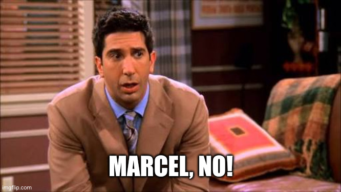 Ross friends | MARCEL, NO! | image tagged in ross friends | made w/ Imgflip meme maker