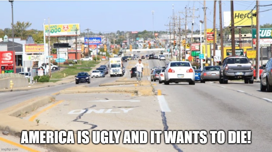 Ugly American Stroad | AMERICA IS UGLY AND IT WANTS TO DIE! | image tagged in america,stroad,strip shopping centers,multilane highway,america the ugly | made w/ Imgflip meme maker