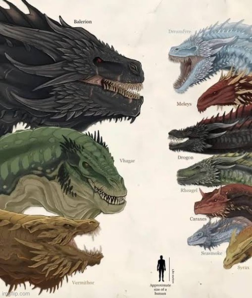 Did i just heard about dragon propaganda? | image tagged in fuck yeah,a song of ice and fire,house of the dragon,game of thrones,memes,shitpost | made w/ Imgflip meme maker