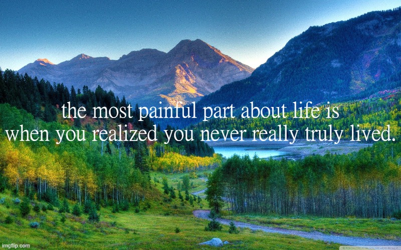 the most painful part about life is when you realized you never really truly lived. | made w/ Imgflip meme maker