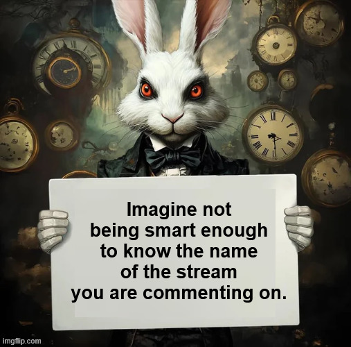 Imagine not being smart enough to know the name of the stream you are commenting on. | made w/ Imgflip meme maker
