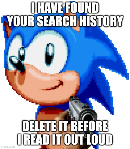 sonic with a gun | I HAVE FOUND YOUR SEARCH HISTORY; DELETE IT BEFORE I READ IT OUT LOUD | image tagged in sonic with a gun | made w/ Imgflip meme maker