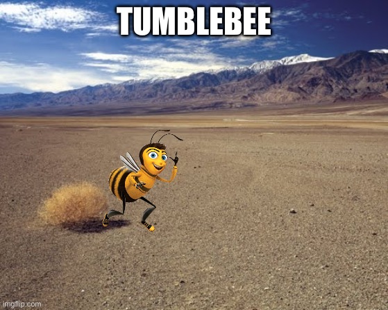 TUMBLEBEE | image tagged in desert tumbleweed | made w/ Imgflip meme maker