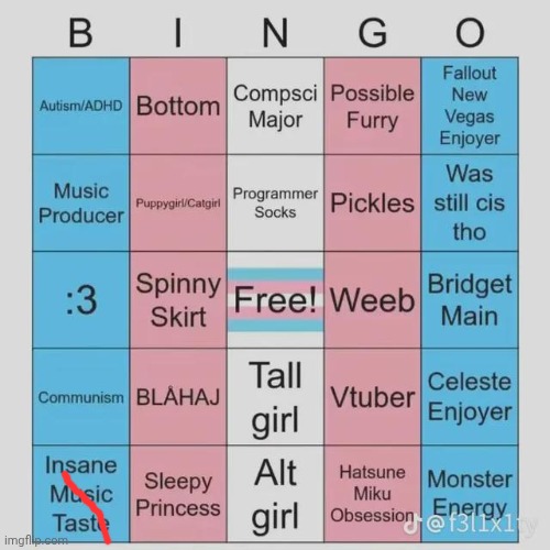 image tagged in transfem bingo | made w/ Imgflip meme maker