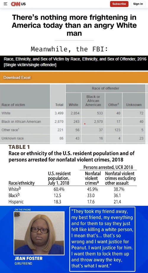 The left started a race war. Let's talk back | Meanwhile, the FBI: | image tagged in american politics,crime,racism | made w/ Imgflip meme maker