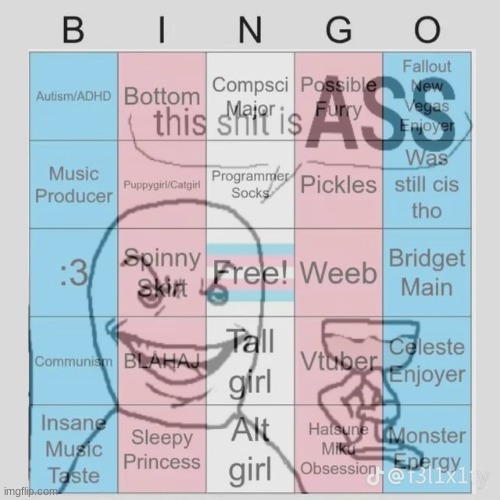 i literally have met transfems before this bingo is extremely stereotypical | image tagged in transfem bingo | made w/ Imgflip meme maker