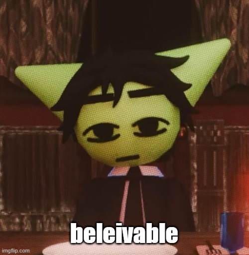vrochacho what | beleivable | image tagged in vrochacho what | made w/ Imgflip meme maker
