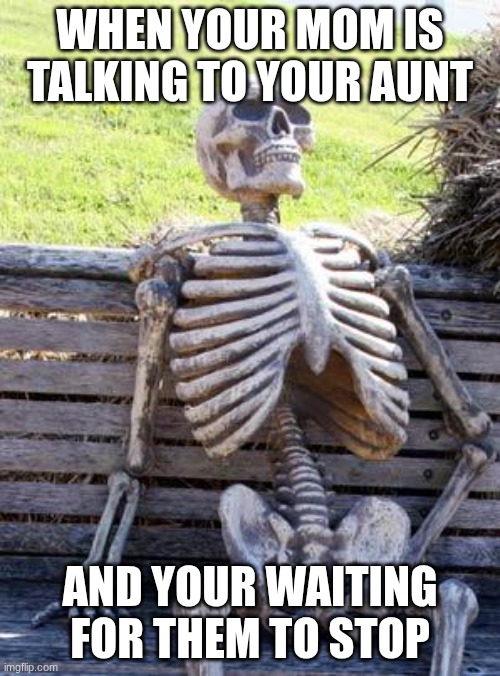 Relatable | WHEN YOUR MOM IS TALKING TO YOUR AUNT; AND YOUR WAITING FOR THEM TO STOP | image tagged in memes,funny memes,funny,relatable,waiting skeleton,true | made w/ Imgflip meme maker