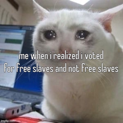 i fucked up | me when i realized i voted for free slaves and not free slaves | image tagged in sad cat tears | made w/ Imgflip meme maker