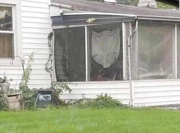 Chrisjoines1 Blank Meme Template