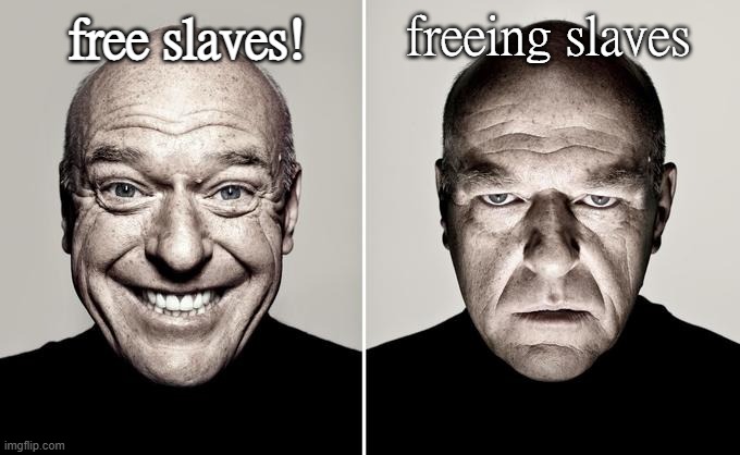 joke | freeing slaves; free slaves! | image tagged in dean norris reaction | made w/ Imgflip meme maker