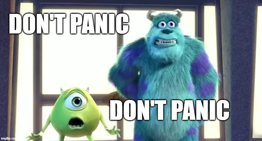 Don't Panic | DON'T PANIC; DON'T PANIC | image tagged in monster inc | made w/ Imgflip meme maker