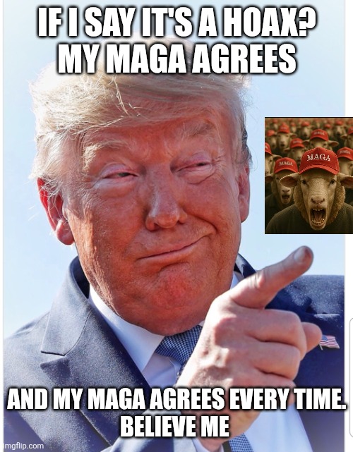 Trump pointing | IF I SAY IT'S A HOAX?
MY MAGA AGREES AND MY MAGA AGREES EVERY TIME.
BELIEVE ME | image tagged in trump pointing | made w/ Imgflip meme maker