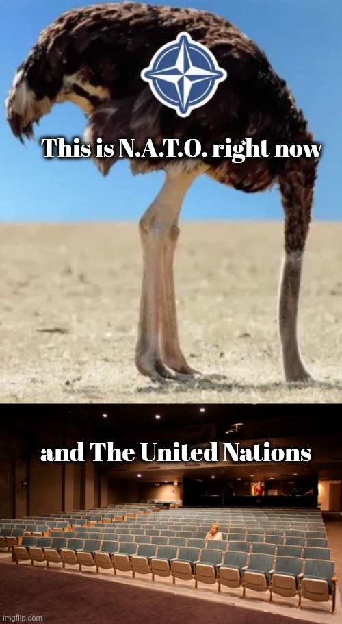 Lots of Money wasted | This is N.A.T.O. right now; and The United Nations | image tagged in empty theater,empty promises,nato,united nations,see nobody cares,you guys are getting paid | made w/ Imgflip meme maker