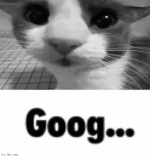 Goog | image tagged in goog | made w/ Imgflip meme maker