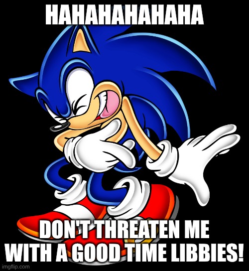 Sonic the Hedgehog Laughing | HAHAHAHAHAHA DON'T THREATEN ME WITH A GOOD TIME LIBBIES! | image tagged in sonic the hedgehog laughing | made w/ Imgflip meme maker