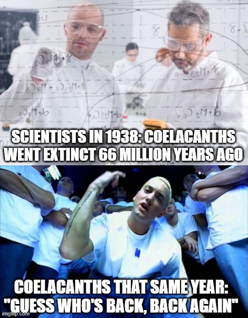 Not Exactly Dead | SCIENTISTS IN 1938: COELACANTHS WENT EXTINCT 66 MILLION YEARS AGO; COELACANTHS THAT SAME YEAR: "GUESS WHO'S BACK, BACK AGAIN" | image tagged in british scientists,eminem1 | made w/ Imgflip meme maker