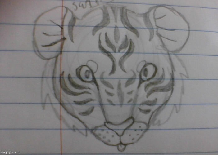 tigr | made w/ Imgflip meme maker