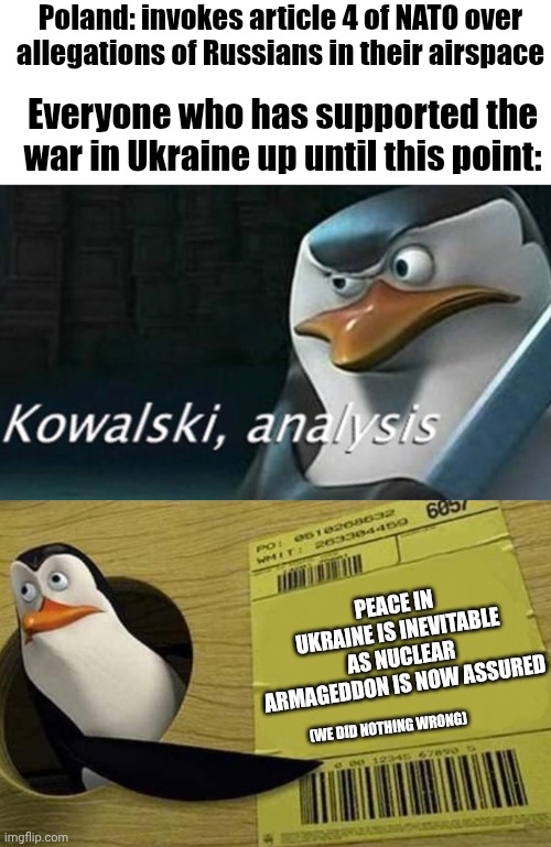 Keep your hands off the keyboard and those flags in bio where I can see them! | Poland: invokes article 4 of NATO over allegations of Russians in their airspace; Everyone who has supported the war in Ukraine up until this point:; PEACE IN UKRAINE IS INEVITABLE AS NUCLEAR ARMAGEDDON IS NOW ASSURED; (WE DID NOTHING WRONG) | image tagged in blank white template,kowalski analysis,ukraine,russia,poland,nuclear war | made w/ Imgflip meme maker