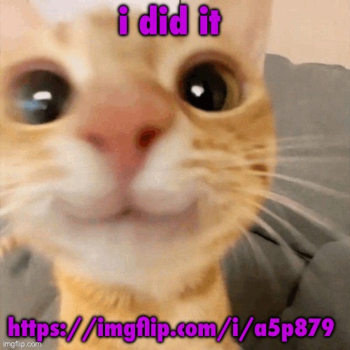 him | i did it; https://imgflip.com/i/a5p879 | image tagged in him | made w/ Imgflip meme maker