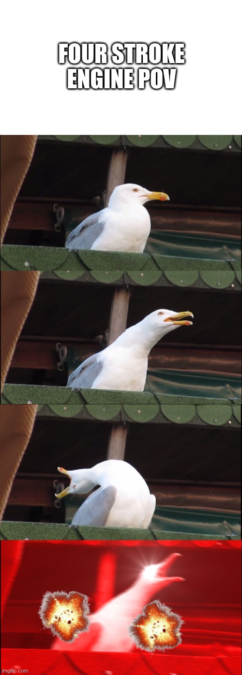 the four stroke engine be like | FOUR STROKE ENGINE POV | image tagged in memes,inhaling seagull | made w/ Imgflip meme maker
