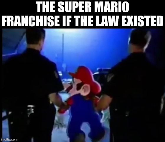 straight to jail | THE SUPER MARIO FRANCHISE IF THE LAW EXISTED | image tagged in memes,funny,mario | made w/ Imgflip meme maker