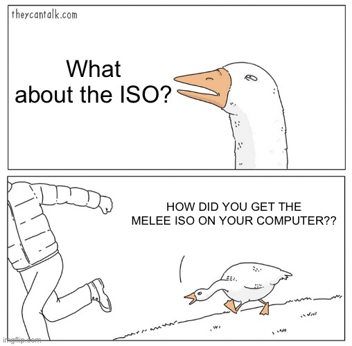 Goose chasing guy HD | What about the ISO? HOW DID YOU GET THE MELEE ISO ON YOUR COMPUTER?? | image tagged in goose chasing guy hd | made w/ Imgflip meme maker