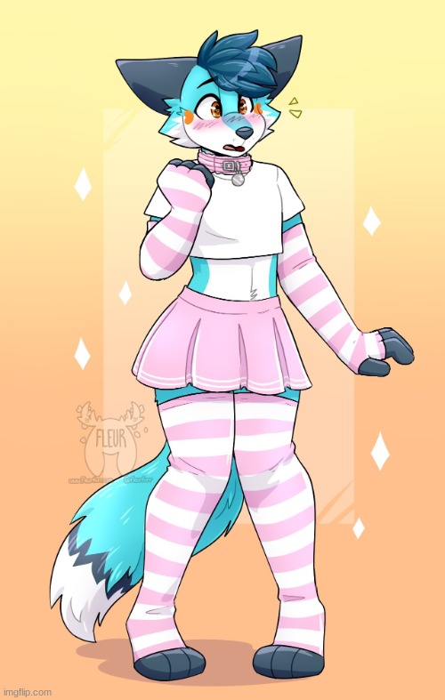 furry femboy fox | image tagged in furry femboy fox | made w/ Imgflip meme maker
