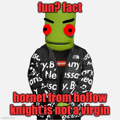 EVIL epilektoi drip | fun? fact; hornet from hollow knight is not a virgin | image tagged in evil epilektoi drip | made w/ Imgflip meme maker