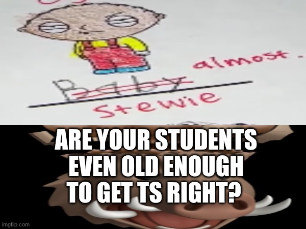 like what???????? | ARE YOUR STUDENTS EVEN OLD ENOUGH TO GET TS RIGHT? | image tagged in only in ohio | made w/ Imgflip meme maker