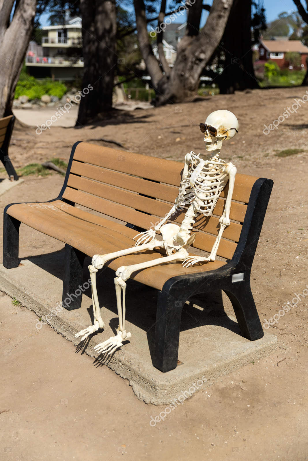 Skeleton on bench in sunglasses Blank Meme Template