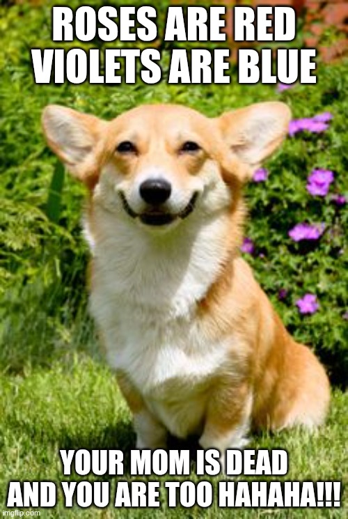 mischievous corgi  | ROSES ARE RED VIOLETS ARE BLUE; YOUR MOM IS DEAD AND YOU ARE TOO HAHAHA!!! | image tagged in mischievous corgi | made w/ Imgflip meme maker