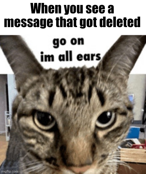 Im all ears | When you see a message that got deleted | image tagged in im all ears | made w/ Imgflip meme maker